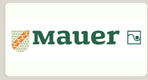 Mauer